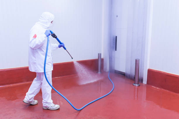 Best Machinery and Equipment Cleaning  in La Joya, TX